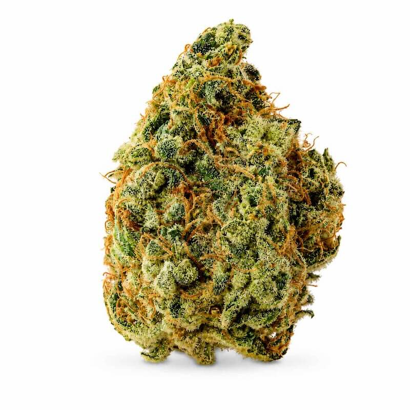 Wholesale/Bulk